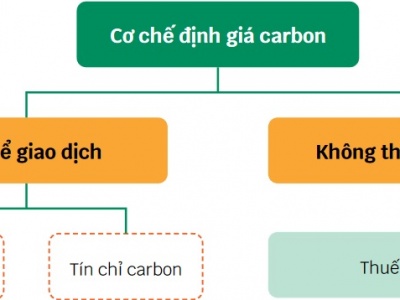 100423_carbon12