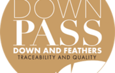 Downpass-Logo