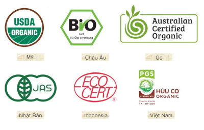 To-chuc-chung-nhan-huu-co