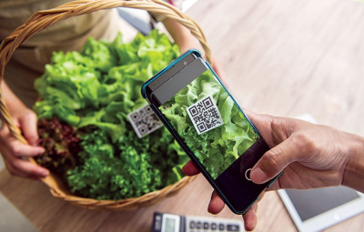 image-20220524153118-1