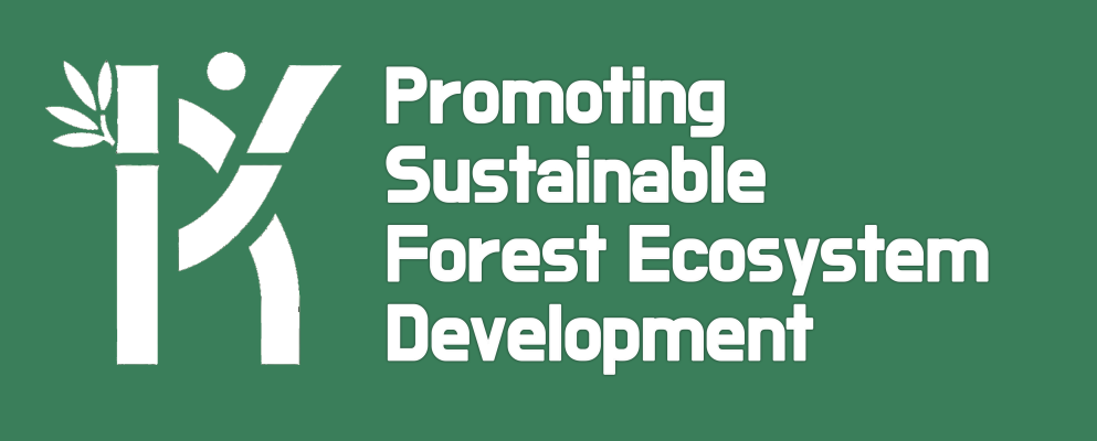 logo everforest