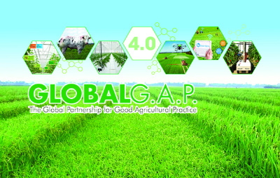 tu-van-global-gap-32